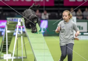Crufts 2019 - Day One, NEC, UK - 7 Mar 2019