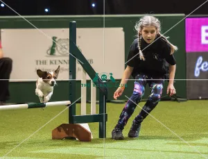 Crufts 2019 - Day One, NEC, UK - 7 Mar 2019