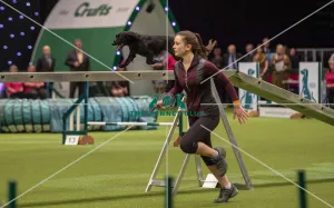 Crufts 2019 - Day One, NEC, UK - 7 Mar 2019