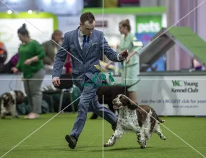 Crufts 2019 - Day One, NEC, UK - 7 Mar 2019