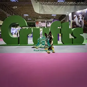 20190307 Prints: Crufts 2019 - Day One, NEC, UK - 7 Mar 2019