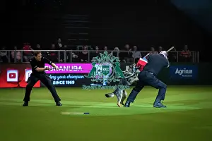 West Midlands Police Prints: Crufts 2019 - Day One, NEC, UK - 7 Mar 2019