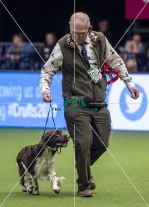 Crufts 2019 - Day One, NEC, UK - 7 Mar 2019