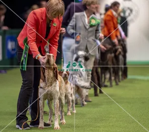 Crufts 2019 - Day One, NEC, UK - 7 Mar 2019
