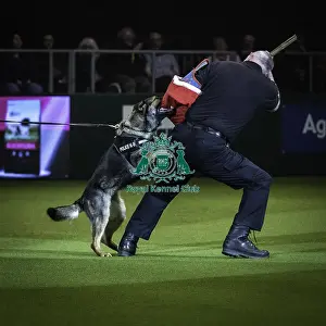 West Midlands Police Prints: Crufts 2019 - Day One, NEC, UK - 7 Mar 2019