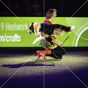 Winner of Heelwork to Music competition