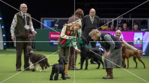 Crufts 2019 - Day One, NEC, UK - 7 Mar 2019