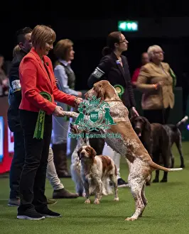 Crufts 2019 - Day One, NEC, UK - 7 Mar 2019