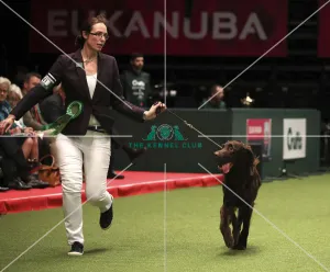 Crufts 2019 - Day One, NEC, UK - 7 Mar 2019