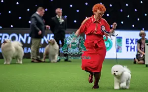 Eukanuba World Challenge Final Prints: Crufts 2019 - Day One, NEC, UK - 7 Mar 2019