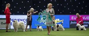 Eukanuba World Challenge Final Prints: Crufts 2019 - Day One, NEC, UK - 7 Mar 2019