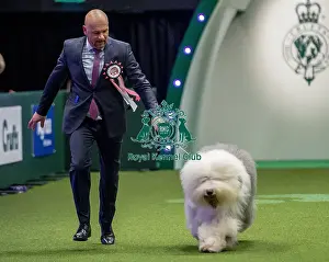Eukanuba World Challenge Final Prints: Crufts 2019 - Day One, NEC, UK - 7 Mar 2019
