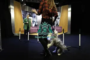 Channel 4 Prints: Crufts 2019 - Day One, NEC, UK - 7 Mar 2019