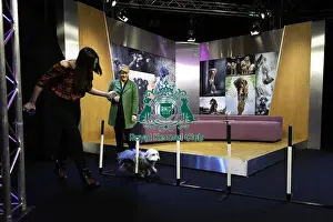 Channel 4 Prints: Crufts 2019 - Day One, NEC, UK - 7 Mar 2019