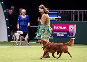 Junior Warrant Final Prints: Crufts 2019 - Day One, NEC, UK - 7 Mar 2019