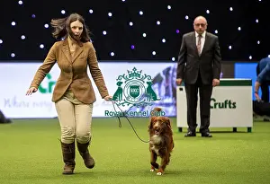 Junior Warrant Final Prints: Crufts 2019 - Day One, NEC, UK - 7 Mar 2019