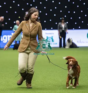 Junior Warrant Final Prints: Crufts 2019 - Day One, NEC, UK - 7 Mar 2019