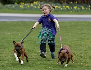 Crufts 2019 - Day One, NEC, UK - 7 Mar 2019