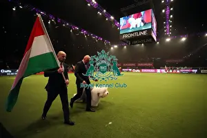 Eukanuba World Challenge Finals Prints: Crufts 2019 - Day One, NEC, UK - 7 Mar 2019