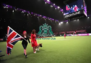 Eukanuba World Challenge Finals Prints: Crufts 2019 - Day One, NEC, UK - 7 Mar 2019