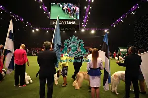 Eukanuba World Challenge Finals Prints: Crufts 2019 - Day One, NEC, UK - 7 Mar 2019