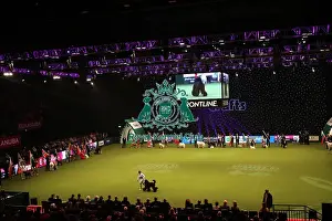 Eukanuba World Challenge Finals Prints: Crufts 2019 - Day One, NEC, UK - 7 Mar 2019