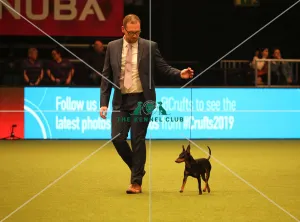 Crufts 2019 - Day One, NEC, UK - 7 Mar 2019