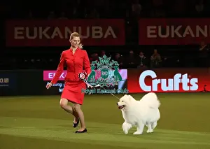 Eukanuba World Challenge Finals Prints: Crufts 2019 - Day One, NEC, UK - 7 Mar 2019