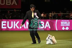 Eukanuba World Challenge Finals Prints: Crufts 2019 - Day One, NEC, UK - 7 Mar 2019