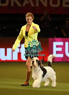 Eukanuba World Challenge Finals Prints: Crufts 2019 - Day One, NEC, UK - 7 Mar 2019