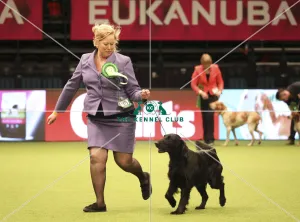 Crufts 2019 - Day One, NEC, UK - 7 Mar 2019