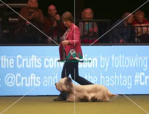 Crufts 2019 - Day One, NEC, UK - 7 Mar 2019
