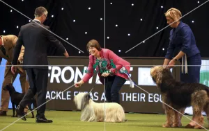 Crufts 2019 - Day One, NEC, UK - 7 Mar 2019