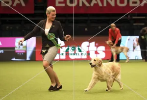 Crufts 2019 - Day One, NEC, UK - 7 Mar 2019