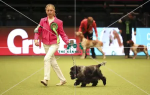 Crufts 2019 - Day One, NEC, UK - 7 Mar 2019