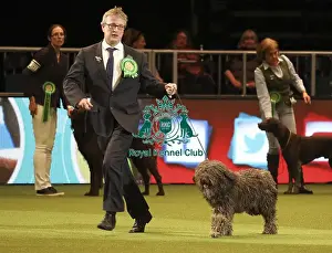 Crufts 2019 - Day One, NEC, UK - 7 Mar 2019