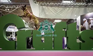 Crufts 2019 - Day One, NEC, UK - 7 Mar 2019