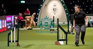 Agility Novice Final Prints: Crufts 2019 - Day One, NEC, UK - 7 Mar 2019