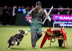 Heelwork To Music Prints: Crufts 2019 - Day One, NEC, UK - 7 Mar 2019