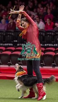Heelwork To Music Prints: Crufts 2019 - Day One, NEC, UK - 7 Mar 2019