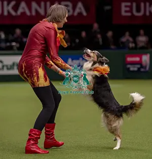 Heelwork To Music Prints: Crufts 2019 - Day One, NEC, UK - 7 Mar 2019