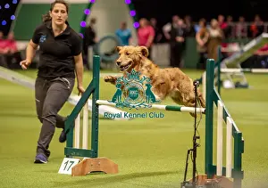 Agility Novice Final Prints: Crufts 2019 - Day One, NEC, UK - 7 Mar 2019