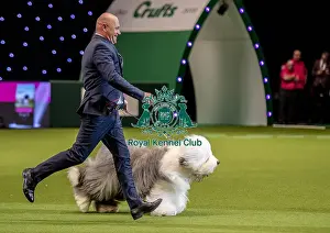 Eukanuba World Challenge Final Prints: Crufts 2019 - Day One, NEC, UK - 7 Mar 2019