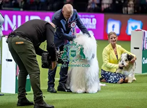 Eukanuba World Challenge Final Prints: Crufts 2019 - Day One, NEC, UK - 7 Mar 2019