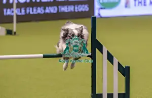 Crufts 2019 - Day One, NEC, UK - 7 Mar 2019