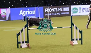 Crufts Team Prints: Crufts 2019 - Day One, NEC, UK - 7 Mar 2019