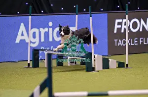 Crufts 2019 - Day One, NEC, UK - 7 Mar 2019