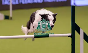 Crufts Team Prints: Crufts 2019 - Day One, NEC, UK - 7 Mar 2019