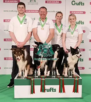 Crufts Team Prints: Crufts 2019 - Day One, NEC, UK - 7 Mar 2019