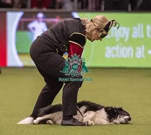 20190307 Prints: Crufts 2019 - Day One, NEC, UK - 7 Mar 2019